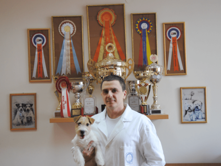 Vladimir Čairović Dr. der Veterinärmedizin, Internationaler Hundeschau-Wertungsrichter