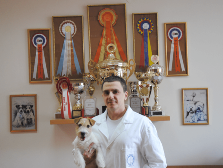 Dr. der Veterinärmedizin, Internationaler Hundeschau-Wertungsrichter